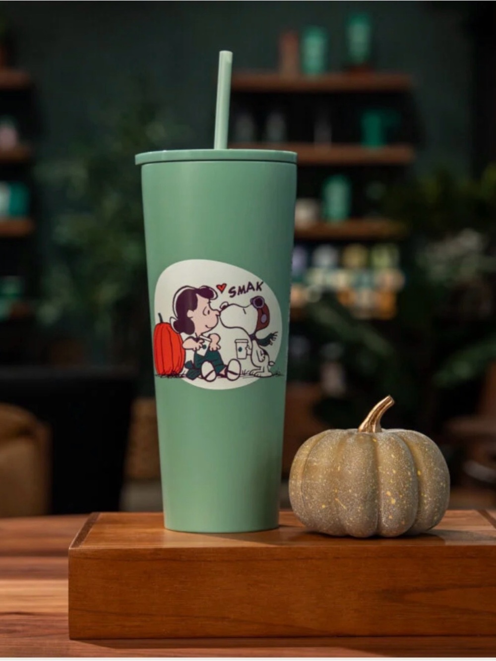 Starbucks Mint Green Snoopy & Lucy Tumbler with Straw